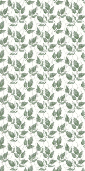 Ivy Pattern Background Wallpaper