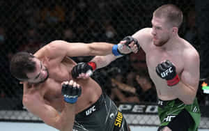 Jack Shore Punching Georges St-pierre Wallpaper