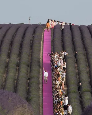 Jacquemus Fashion Show In Lavender Field Wallpaper