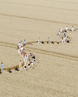 Jacquemus Showcasing Stunning Designs In Unique Wheat Field Runway Wallpaper