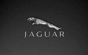 Jaguar Logo For Car Brands Wallpaper