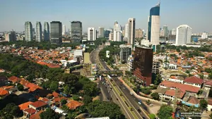 Jakarta City Trees Wallpaper