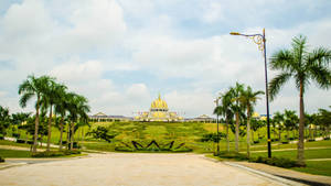 Jakarta Coconut Trees Wallpaper