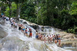 Jamaica Dunn's River Falls Wallpaper