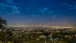 Jamaica Kingston Night View Wallpaper