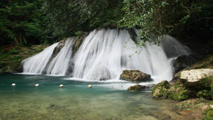 Jamaica Reach Falls Wallpaper