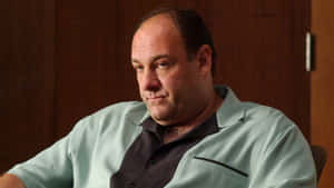 James Gandolfini 1920 X 1080 Wallpaper