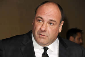 James Gandolfini 2000 X 1335 Wallpaper