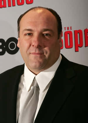 James Gandolfini 2160 X 3000 Wallpaper