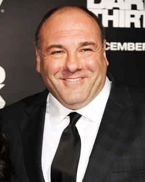 James Gandolfini 2398 X 3000 Wallpaper