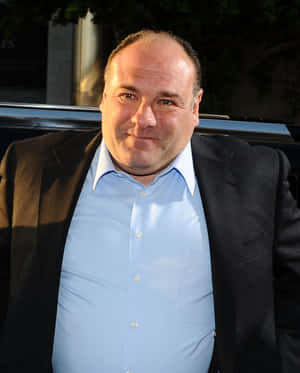 James Gandolfini 2416 X 3000 Wallpaper