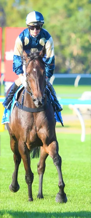 Jamie Kah - A Star Jockey In Action Wallpaper