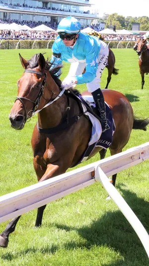 Jamie Kah - Australia's Leading Jockey In Action Wallpaper