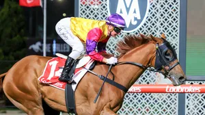 Jamie Kah – Champion Jockey In Action Wallpaper