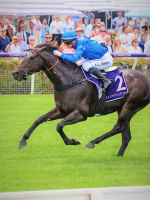 Jamie Kah - Champion Jockey In Action Wallpaper