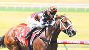 Jamie Kah, Champion Jockey In Action Wallpaper