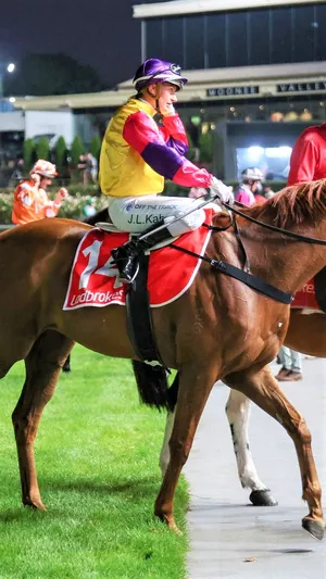 Jamie Kah, Horse Racing Jockey Champion Wallpaper