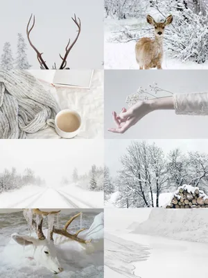 January Winter Aesthetic Collage.jpg Wallpaper