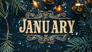January Winter Aesthetic Theme Wallpaper