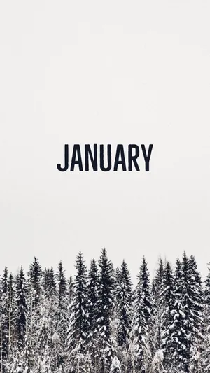 January Winter Forest Aesthetic Wallpaper