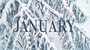 January Winter Frost Aesthetic Wallpaper