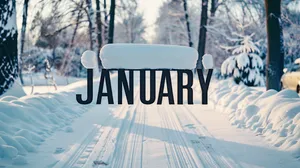 January Winter Snowy Park Scene Wallpaper