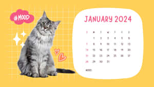 January2024 Cat Calendar Wallpaper