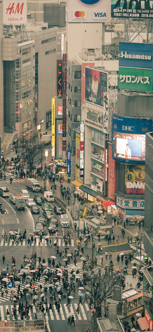 Japanese Aesthetic Iphone Busy Shibuya Crossing Wallpaper