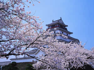 Japanese Castle In Winter For Desktop Wallpaper