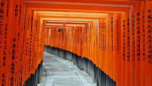 Japanese Inari Shrine For Desktop Wallpaper