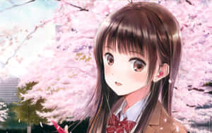 Japanese School Anime Girl Wallpaper