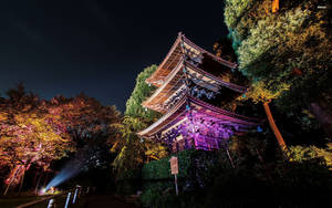 Japanese Temple In Tokyo Wallpaper