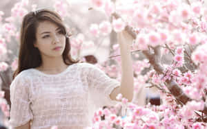 Japanese Women In Sakura Wallpaper