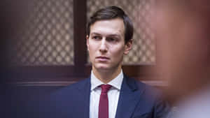 Jared Kushner Hd Desktop Wallpaper