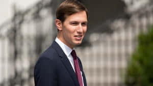 Jared Kushner Under The Sun Wallpaper