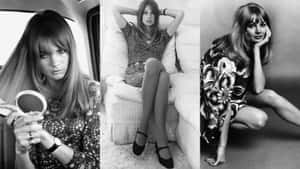 Jean_ Shrimpton_ Triptych Wallpaper