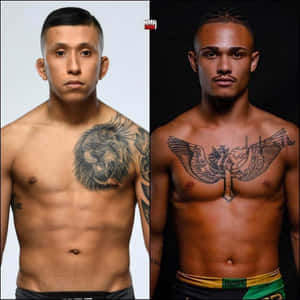 Jeff Molina And Daniel Lacerda Wallpaper