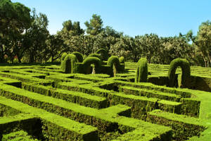 Jeju Island Maze Park Wallpaper