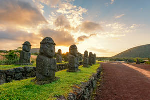 Jeju Island Stone Park Wallpaper