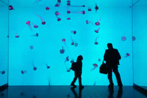 Jellyfish Exhibit Silhouettes Wallpaper