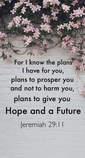 Jeremiah 29:11 Pink Flowers Wallpaper
