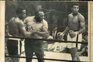 Jersey Joe Walcott As A Referee Wallpaper