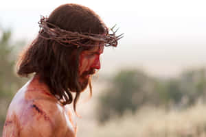 Jesus Christ Wearing The Crown Of Thorns Wallpaper