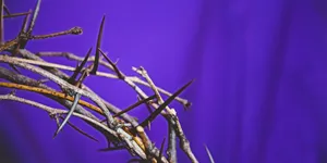 Jesus Christ Wearing The Crown Of Thorns Wallpaper