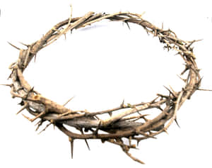 Jesus Christ Wearing The Crown Of Thorns Wallpaper