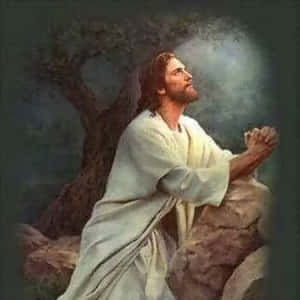 Jesus Praying In Solitude Wallpaper