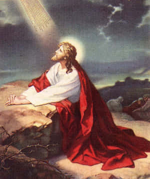 Jesus Praying In The Wilderness Wallpaper