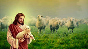 Jesus Tenderly Guiding His Sheep Wallpaper