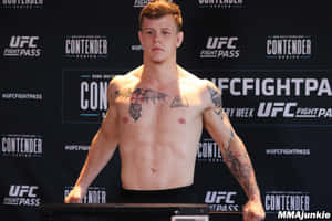 Jimmy Crute - Out In The Octagon Wallpaper