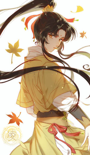 Jin Rulan Of Mo Dao Zu Shi Wallpaper